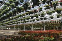 Greenhouse