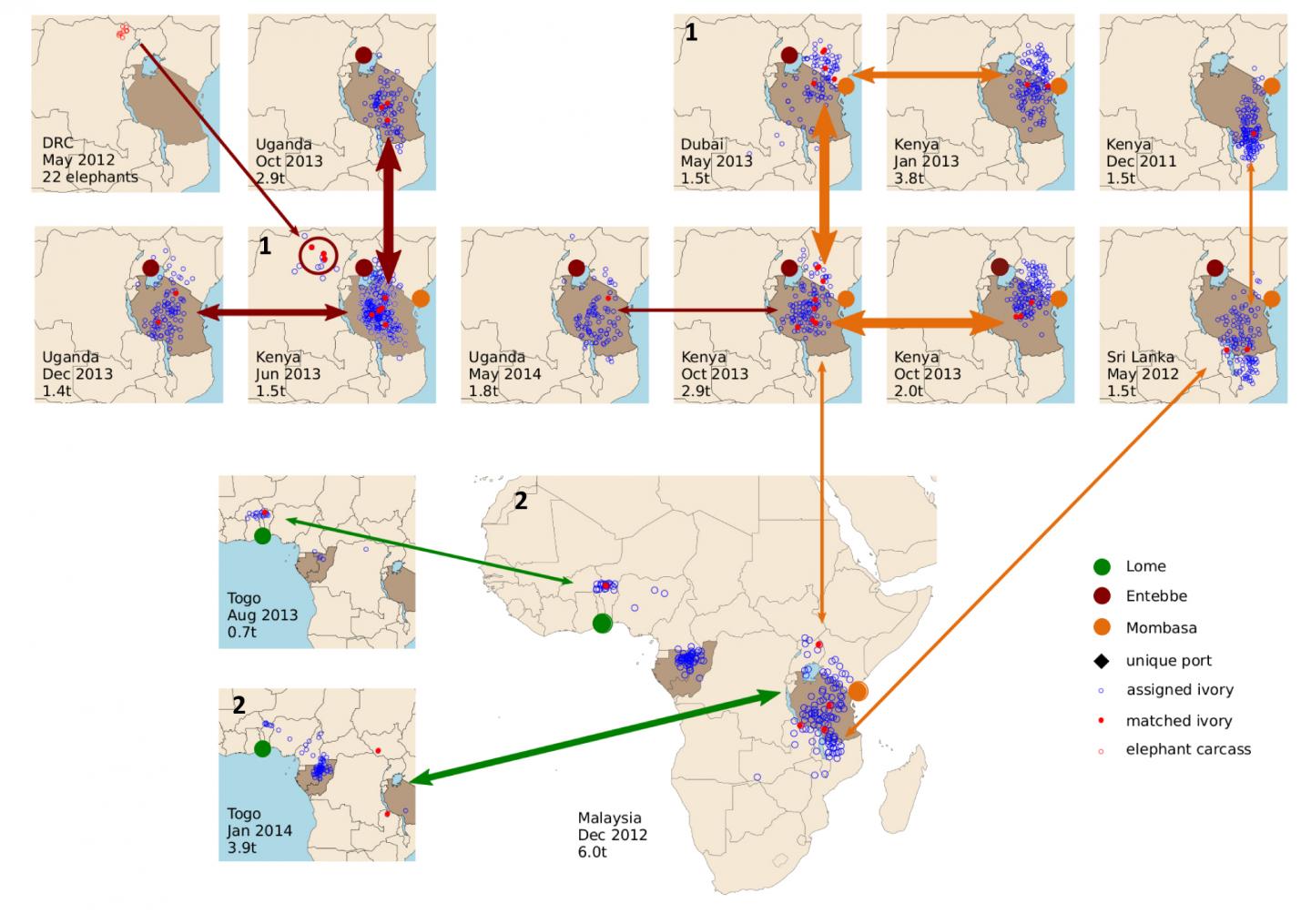 Ivory Shipments: Linkage Maps