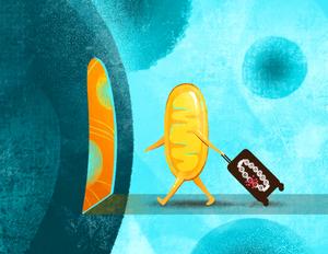 Mitochondrion illustration