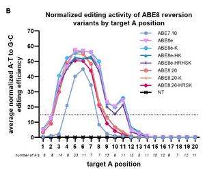 efficiency of ABEs