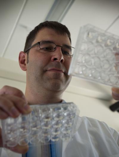Dr. Steffen Scholpp, Karlsruhe Institute of Technology