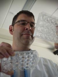Dr. Steffen Scholpp, Karlsruhe Institute of Technology