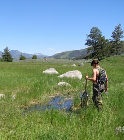 Yellowstone