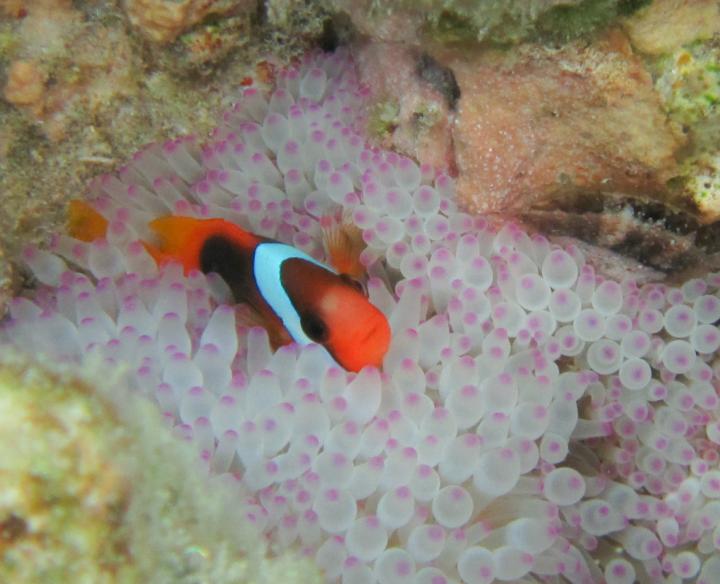 Murky Water Keeps Fish on Edge (2 of 2)