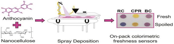 Graphical Abstract.