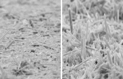 Non-Aligned and Aligned &#945;-Mno2 Nanorods