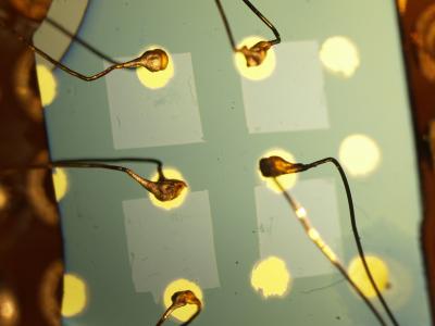New Photodiode