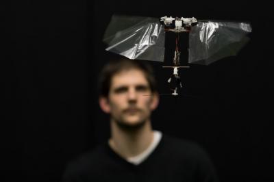 DelFly Nimble in Stationary (Hovering) Flight