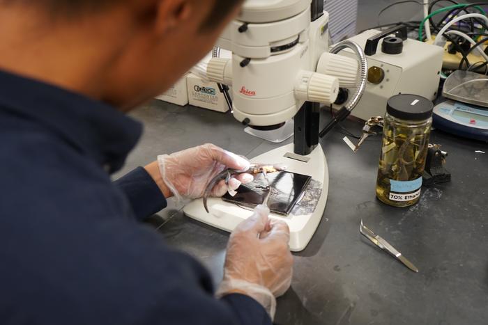 microscope.JPG