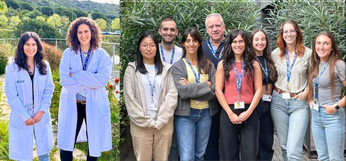 IVECAT group at IGTP