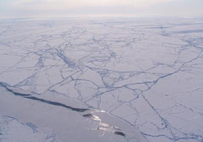 Sun Glint off a Sea Ice
