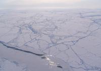 Sun Glint off a Sea Ice