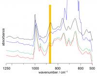 IR Spectra of CH<sub>2</sub>Cl<sub>2</sub>-Inserted V12 and Guest-Free V12