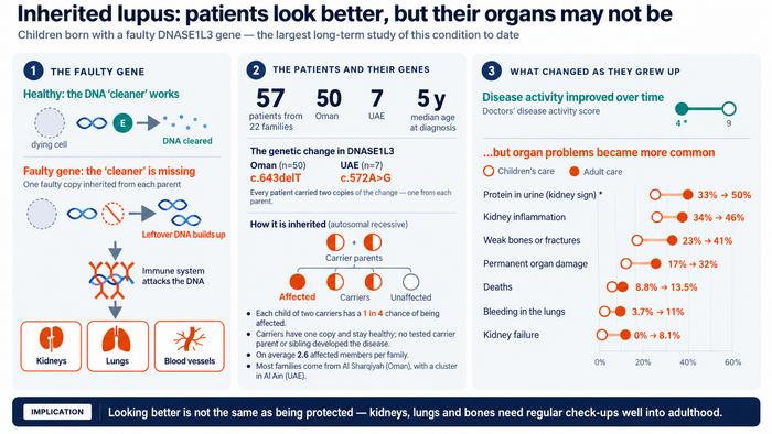 When inherited lupus appears quieter, organ damage may still progress
