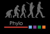 Phylo