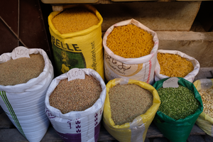 Agrobiodiversity at the market (2)