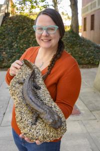 Findings Could Help Improve Hellbender Conservation Efforts