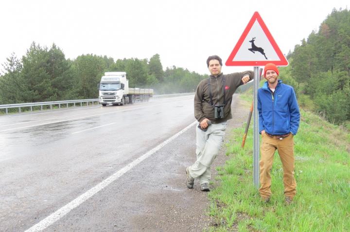 Wildlife Crossing