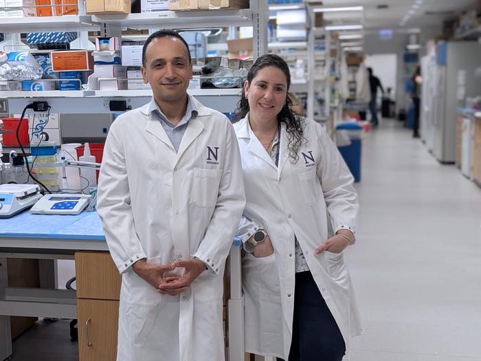 Study authors Mohamed Abdel-Mohsen and Leila Giron in Abdel-Mohsen's lab