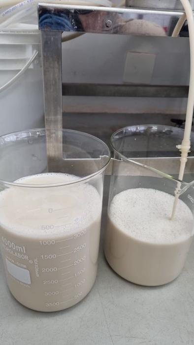 Biotech develops technology to produce milk proteins without cows