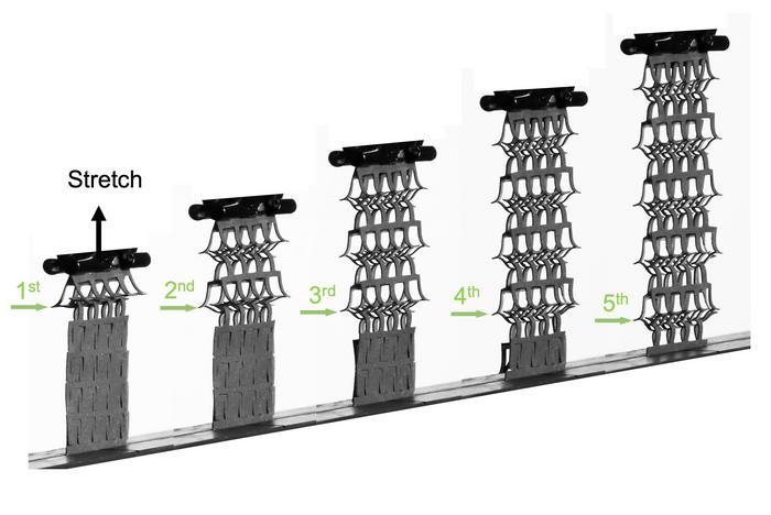 Controlling metamaterial behavior with magnetism