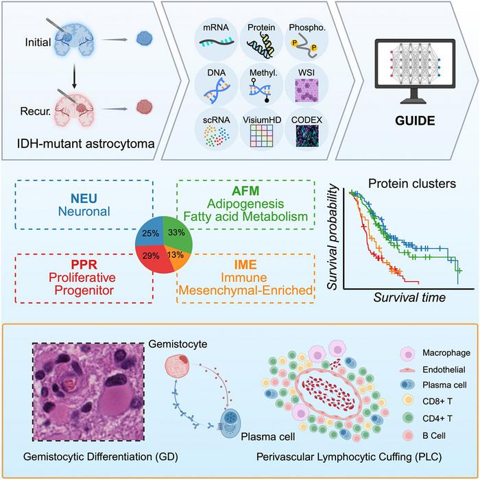 A graphical abstract of this study.