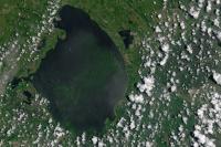 Lake Okeechobee Bloom