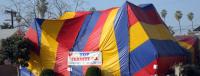Tent Fumigation