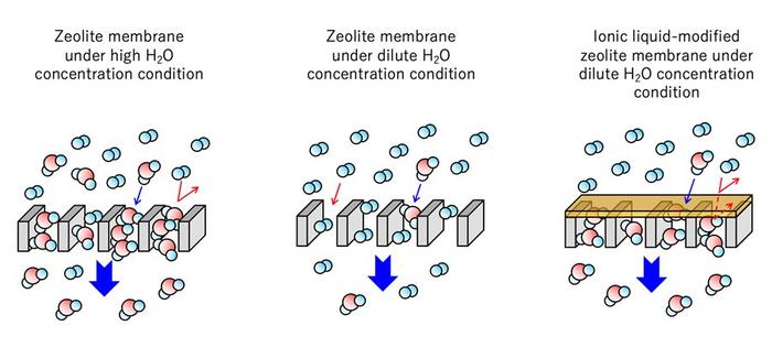 Enhancing H2O permselectivity by modifying zeolite-based membranes