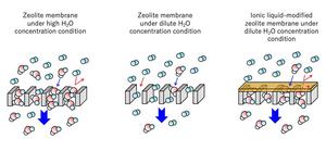 Enhancing H2O permselectivity by modifying zeolite-based membranes