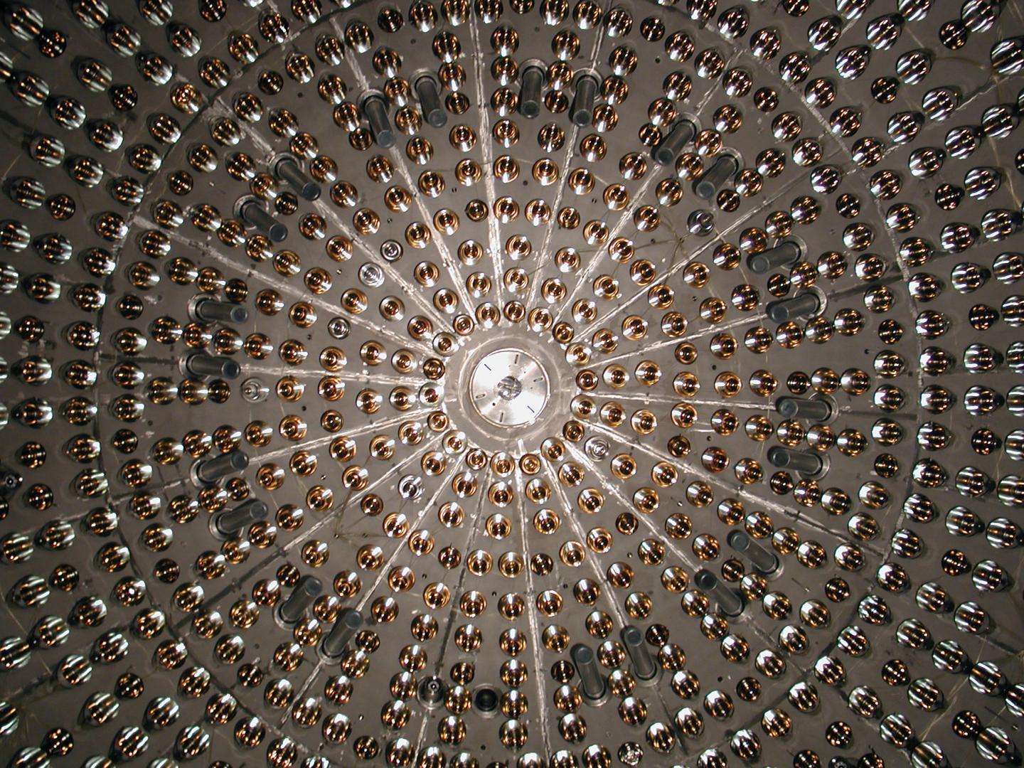 Borexino Detector