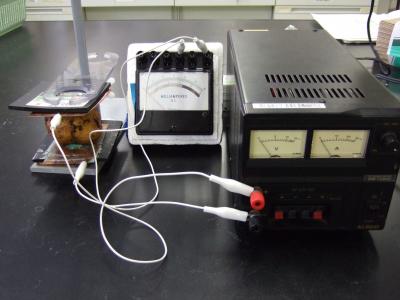 Electric Potato