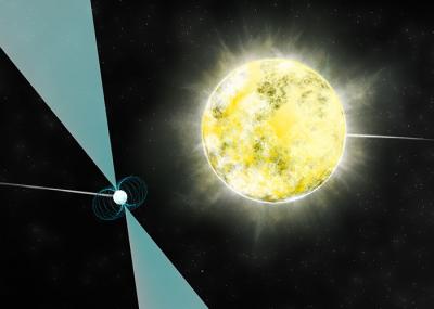 Pulsar & White Dwarf Star