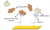 Surface Plasmon Resonance Gold Chip Surface