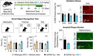 KAIST: Dementia-Causing Substance Turns On a Therapeutic “Switch”