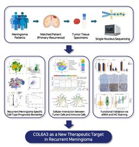 Research explanation image