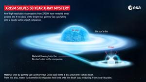 The secret life of gamma-Cas, revealed