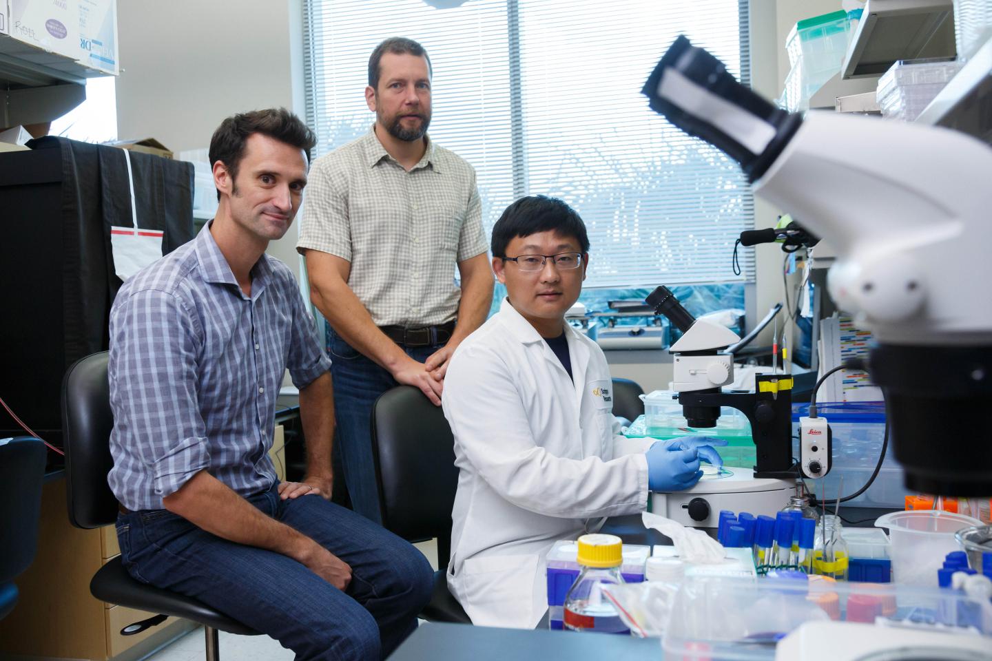 Nematode Study Reveals Opioid Regulator