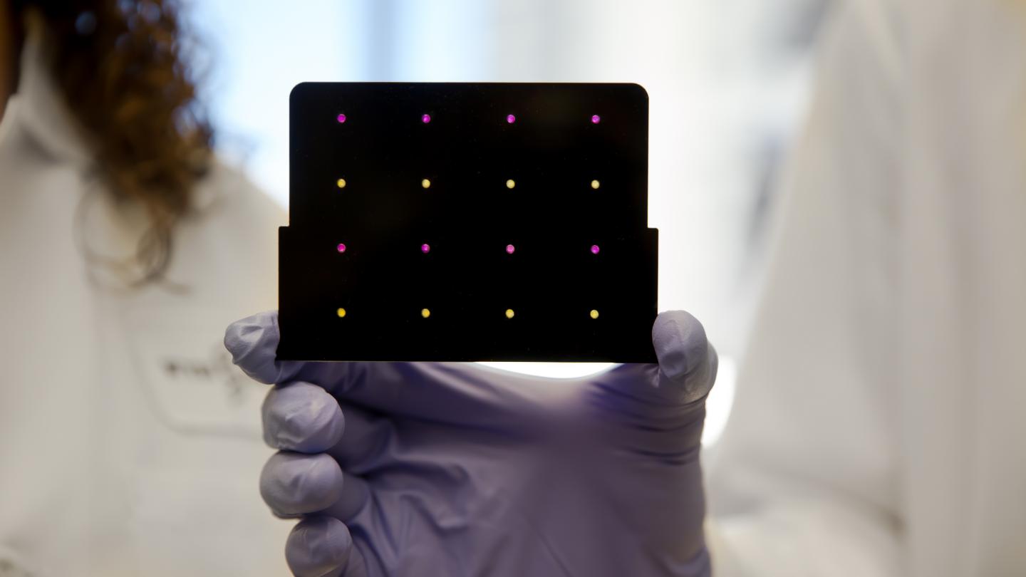 Inexpensive Device Can Diagnose Zika In Just A Few Hours