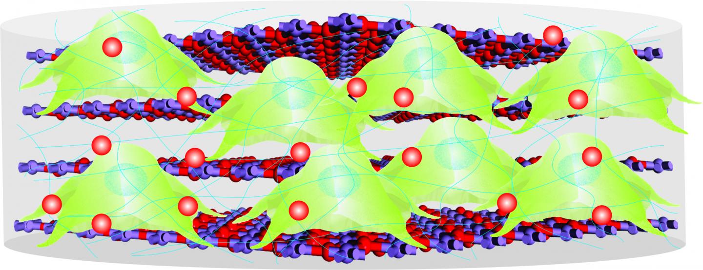 Biodegradable Nano-scaffold