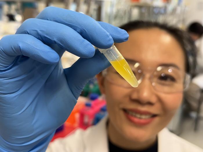 Dr Dao Nguyen examines a vial of lutein formulation developed for potential use in eyedrop treatments