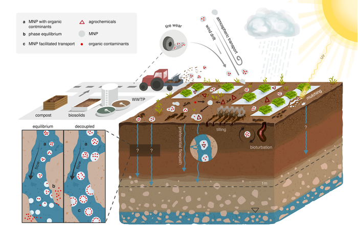 Illustration soil