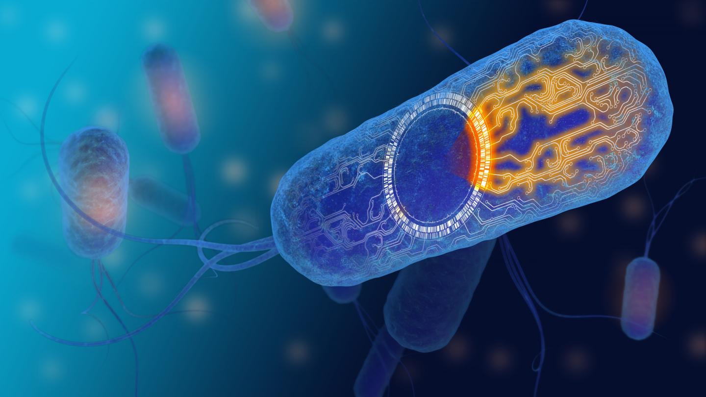 Artist's Representation of a Synthetic BioticTM Medicine