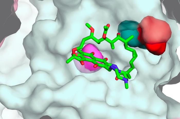 Rifampicin-resistance mutation