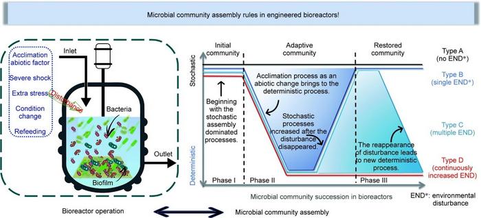 The conceptual model for microbial community assembly and succession in engineered ecosystems.