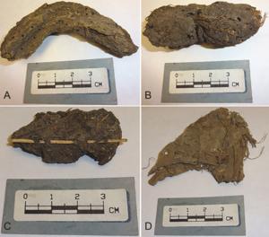 Targeted pathogen profiling of ancient feces reveals common enteric infections in the Rio Zape Valley, 725–920 CE