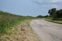 Trimmed Roadside Verge