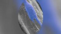 WPI Team Scales-Up Production of Biopolymer Microthreads
