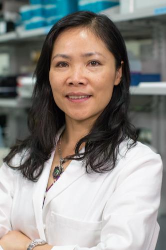 Zui Pan, University of Texas at Arlington