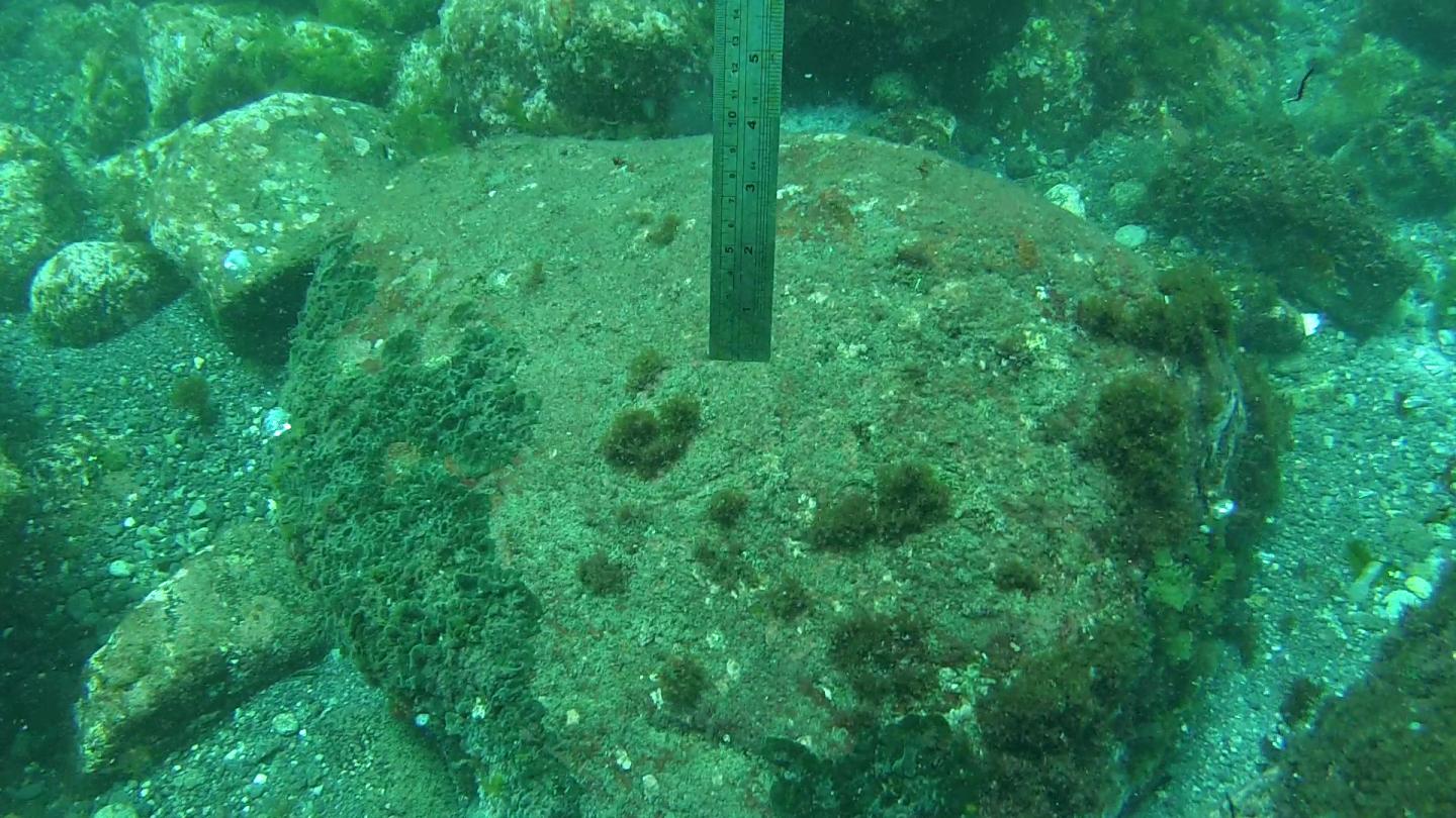 Future Ocean Habitats